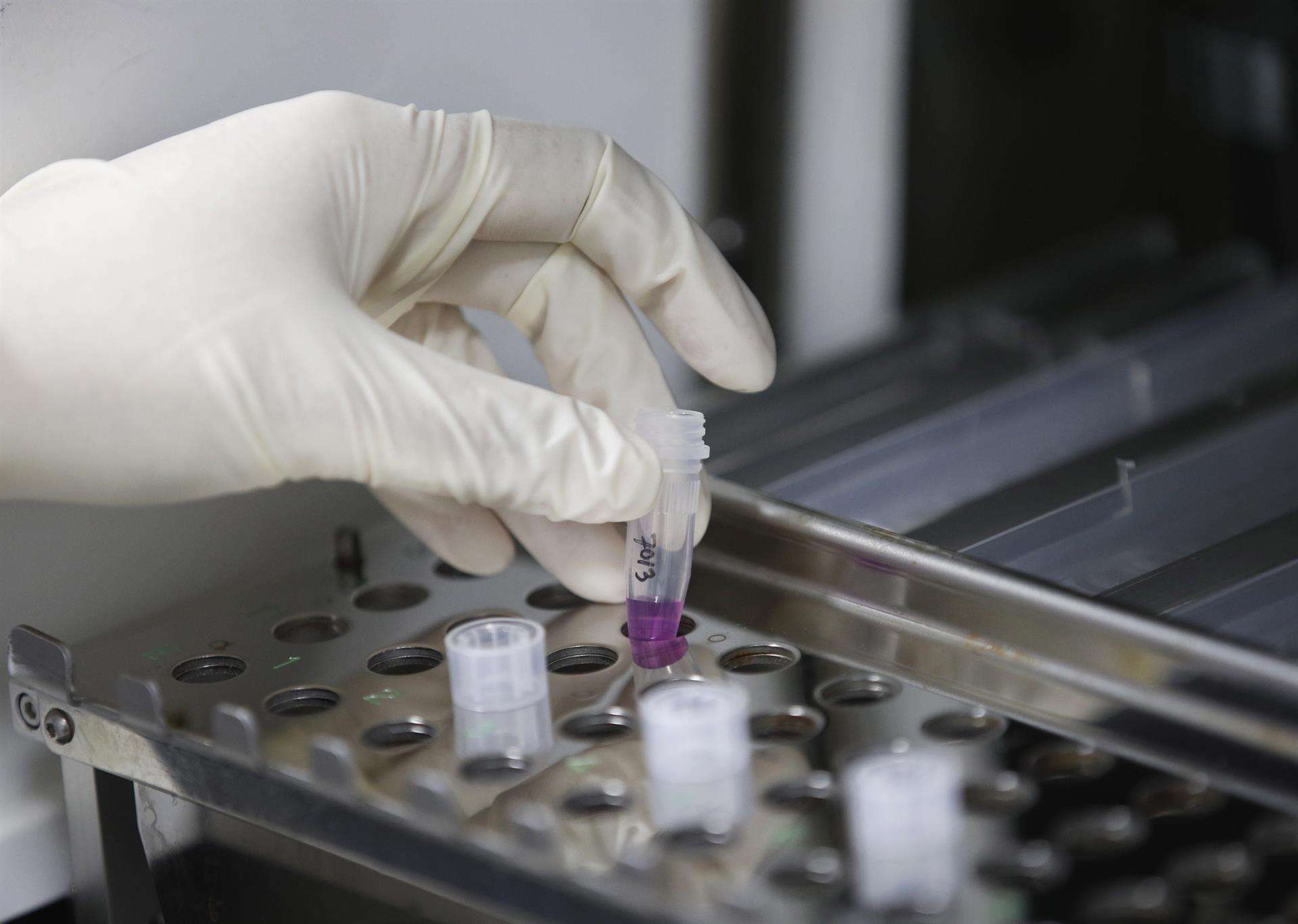 Fotografía de archivo. EFE/EPA/RUNGROJ YONGRIT