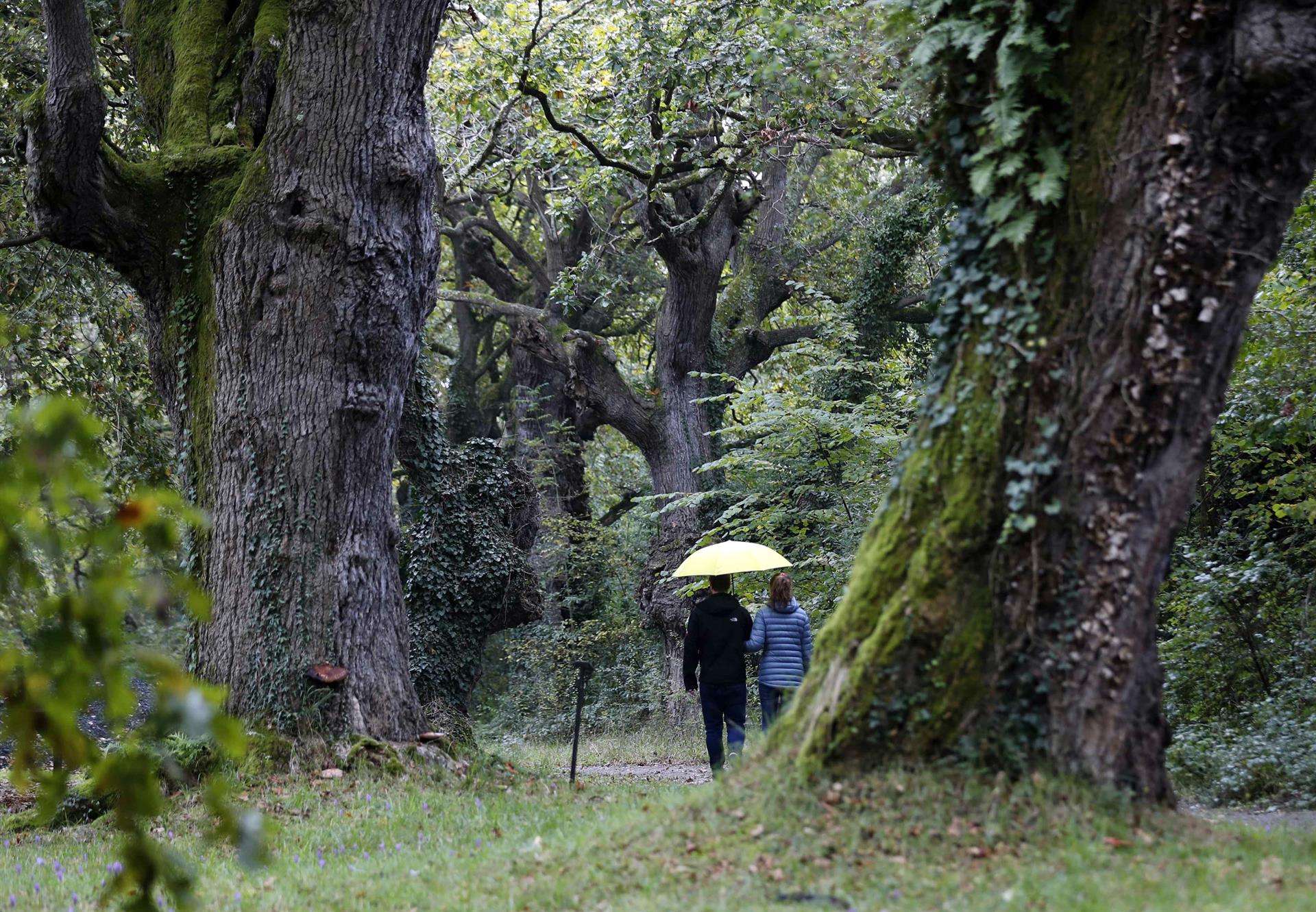 En la imagen de archivo, dos personas pasean por el Jardín Botánico de Gijón, Asturias, en una tarde otoñal. EFE/José Luis Cereijido
