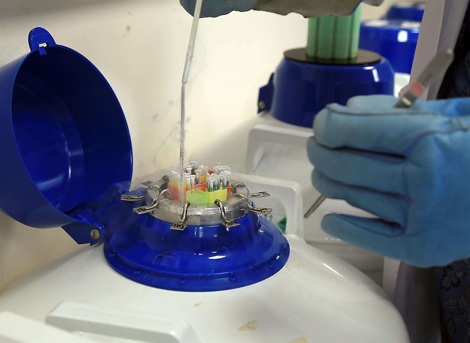 En la imagen de archivo, un banco de semen. EFE /PEPE TORRES