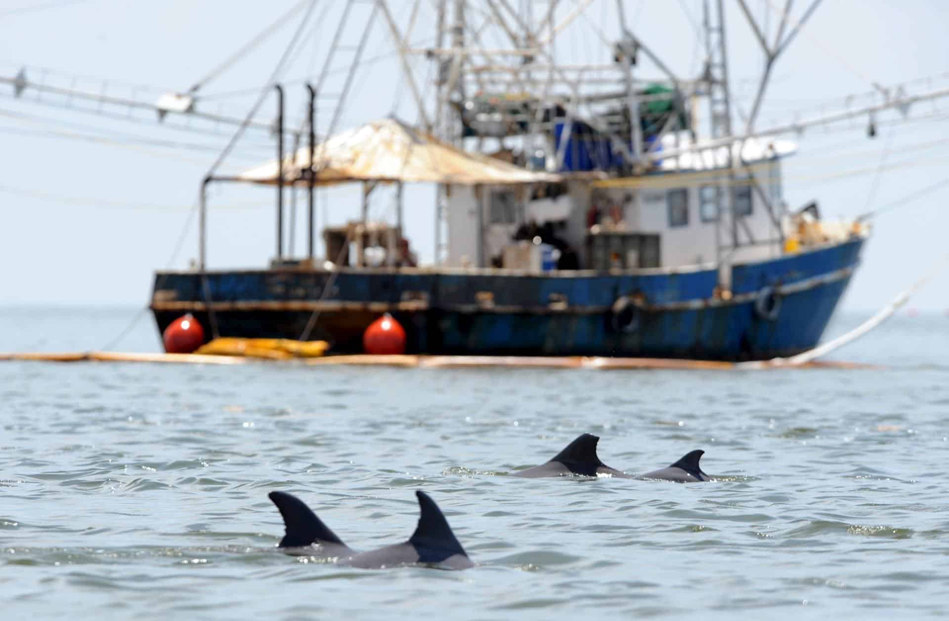 Sector pesquero Guatemala