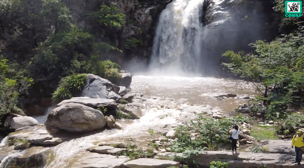 Día Mundial del Agua: Las áreas protegidas protectoras de manantiales en Guatemala