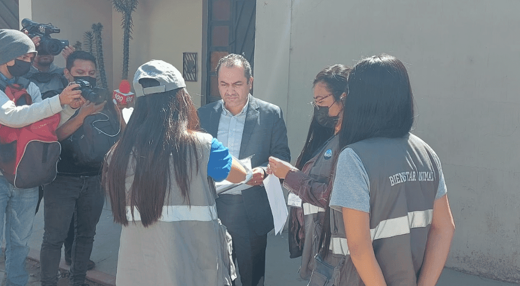 Vea la sanción que le dieron al hombre que envenenó a perros en Quetzaltenango