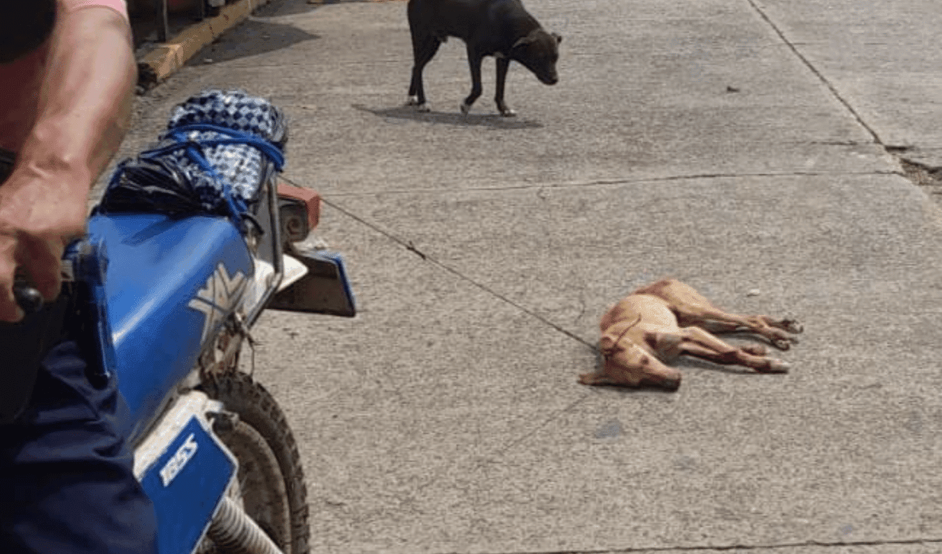 Capturan a hombre que arrastraba a un perro con una moto