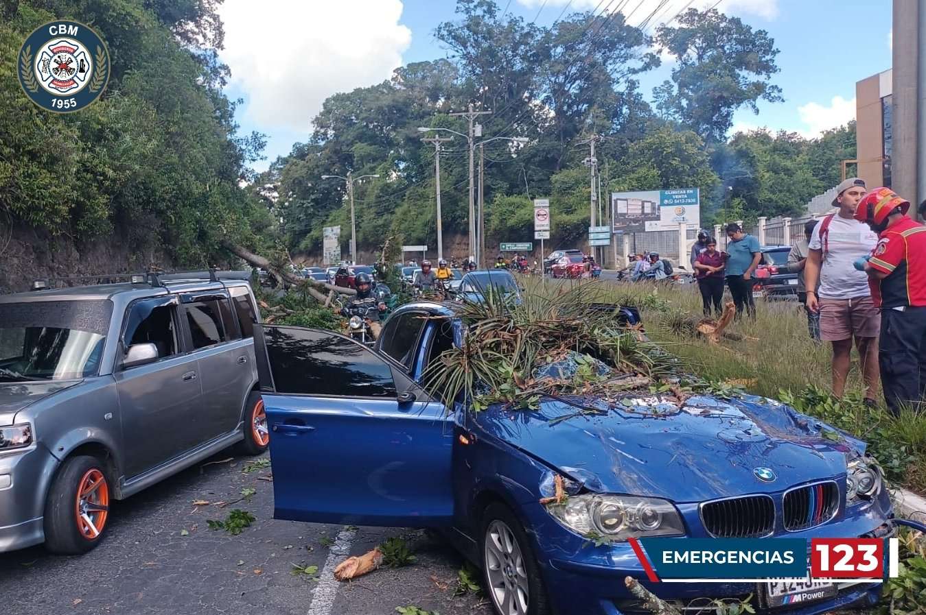 Árbol cayó sobre un carro en bulevar El Naranjo