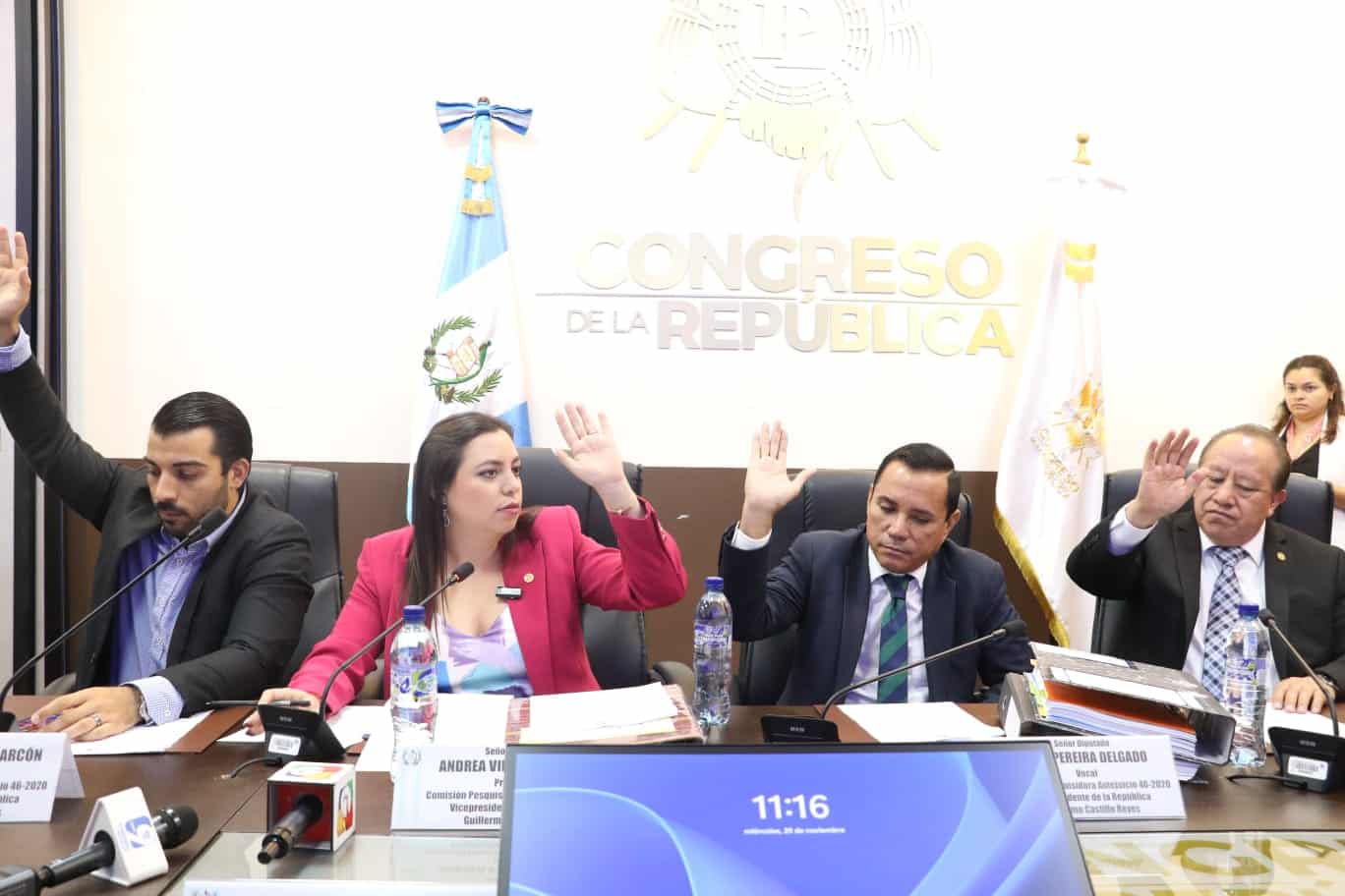 Caso Vicepresidente Castillo