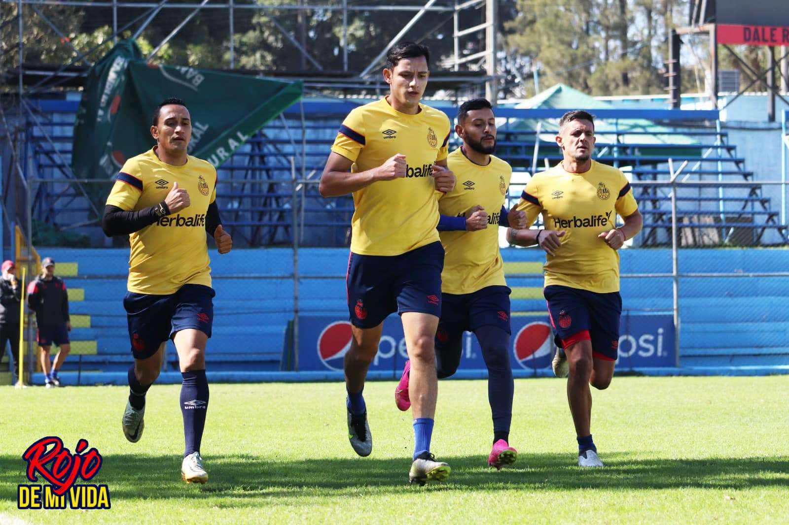 Municipal pretemporada Clausura 2024