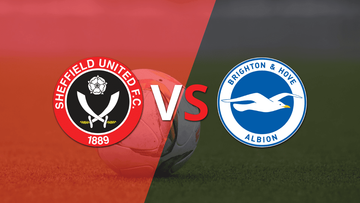 Sheffield United saldrá a buscar los puntos ante Brighton and Hove para salir del fondo de la tabla