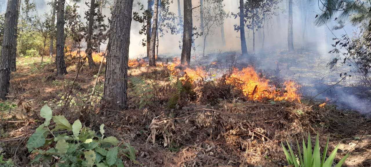 incendios forestales en guatemala