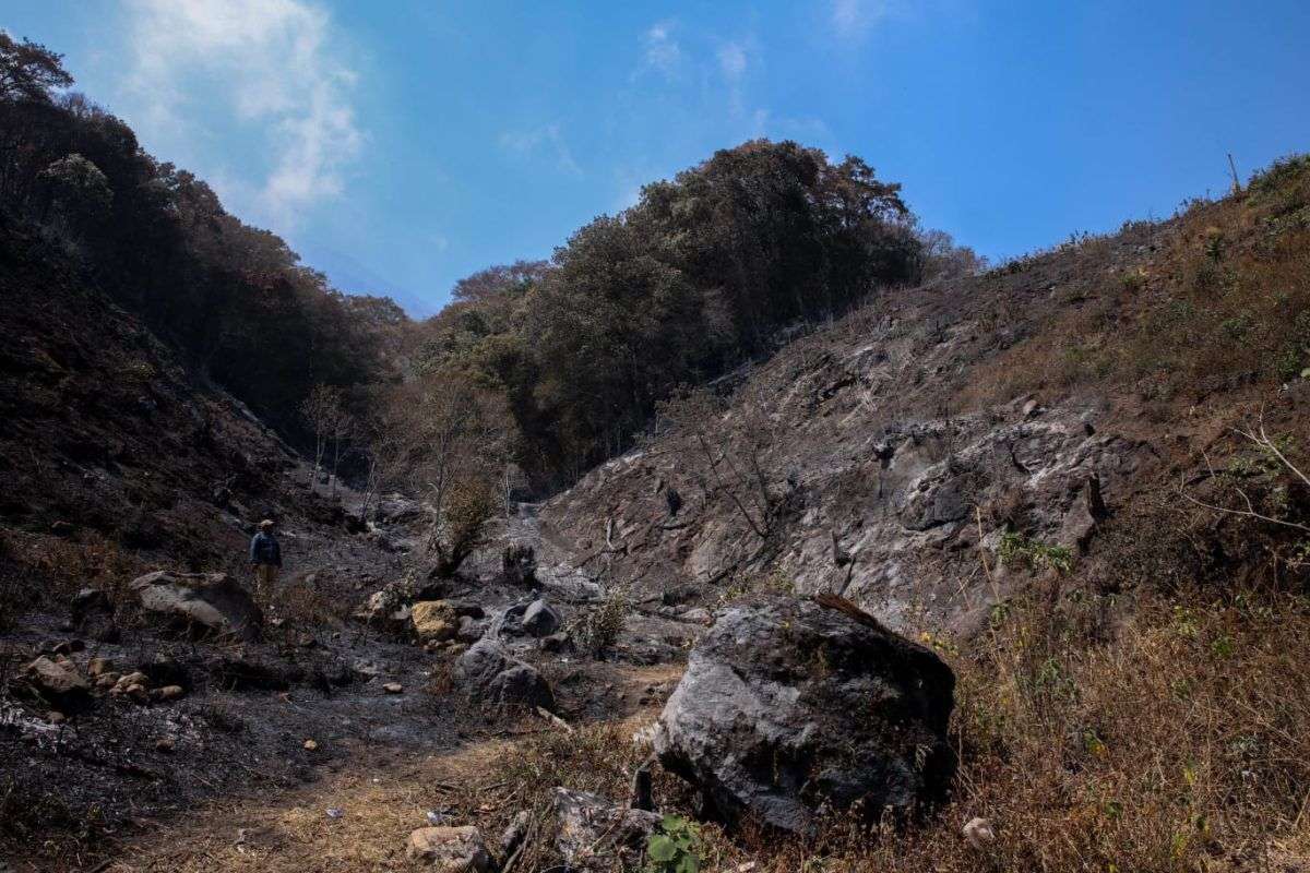 cultivos incendio volcán de Agua