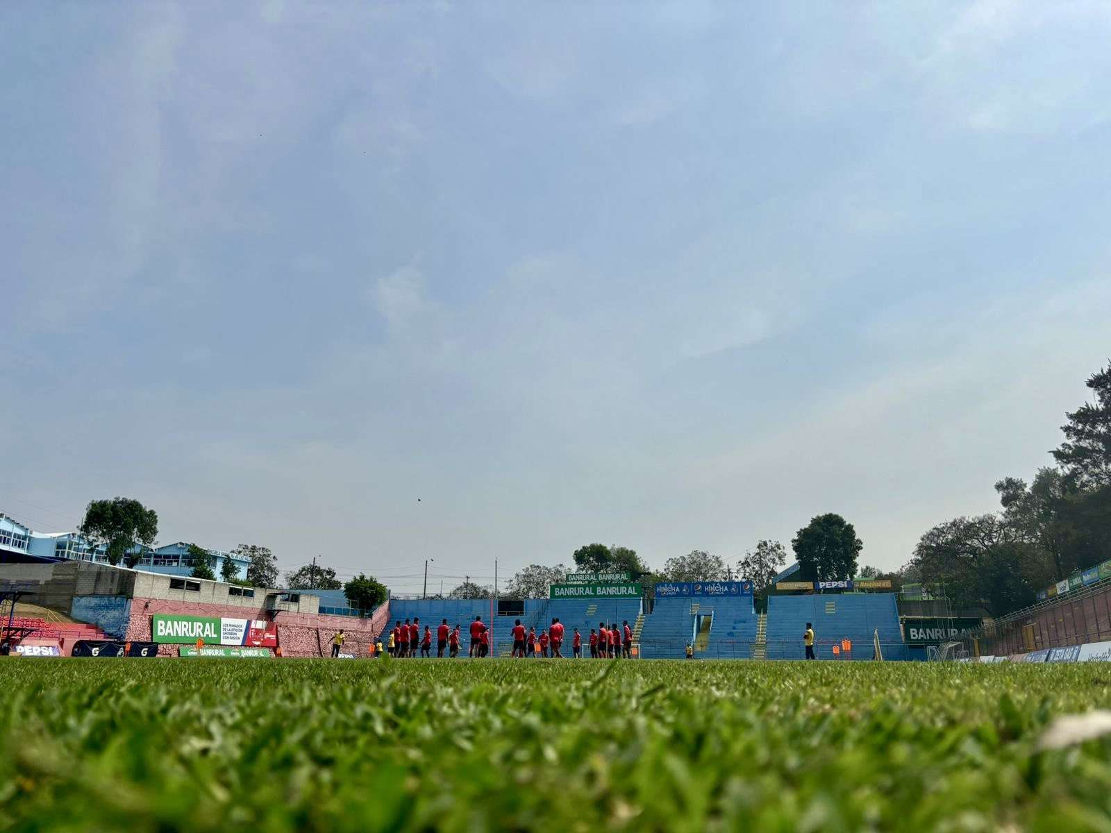 Municipal clásico 330