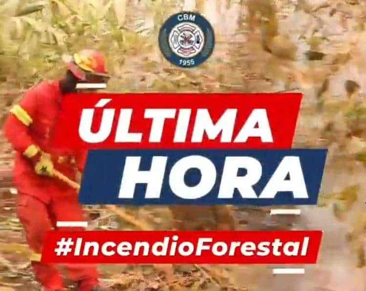 ÚLTIMA HORA | Alerta en Ruta al Atlántico: Incendio Forestal Amenaza Vehículos en el Kilómetro 13
