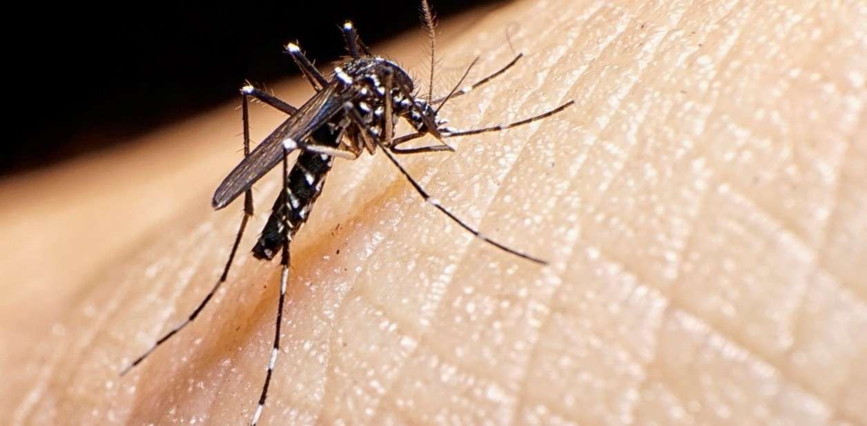 Petén intensifica medidas contra el dengue para proteger a sus habitantes