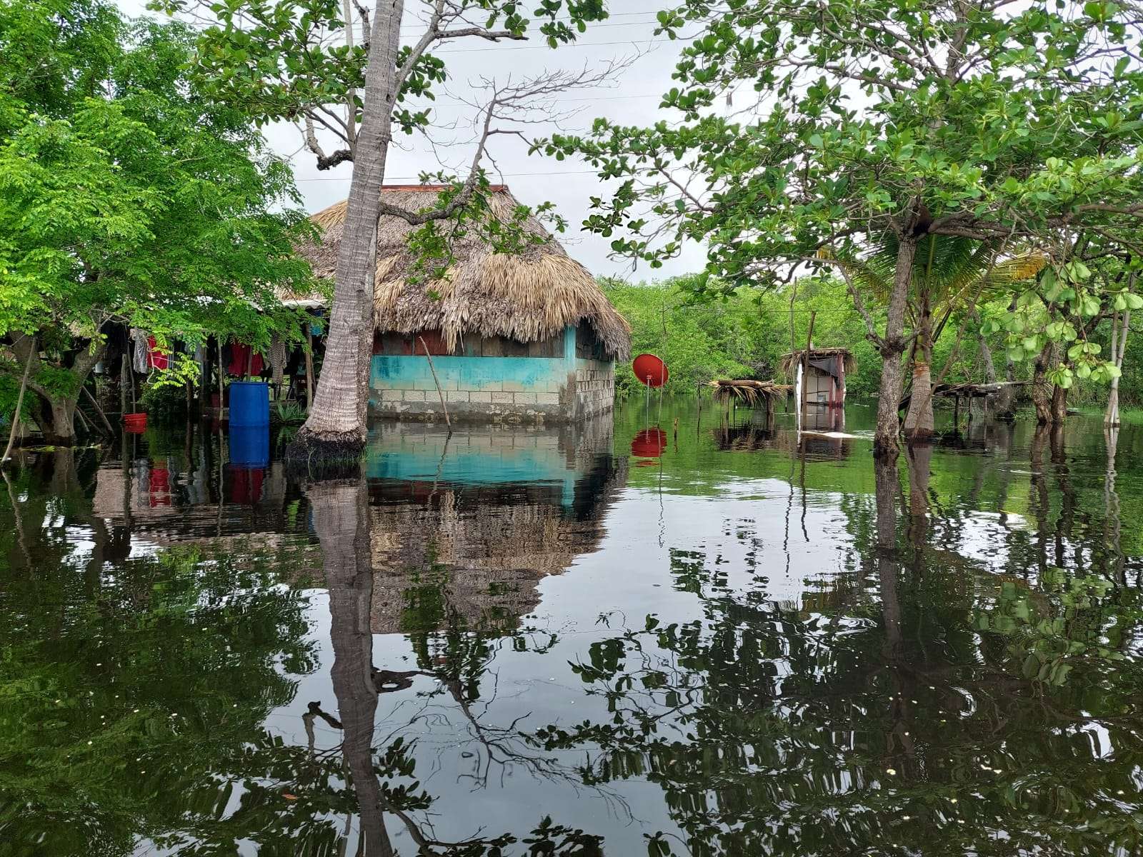 Conred registra 25 incidentes por lluvias en las últimas 24 horas