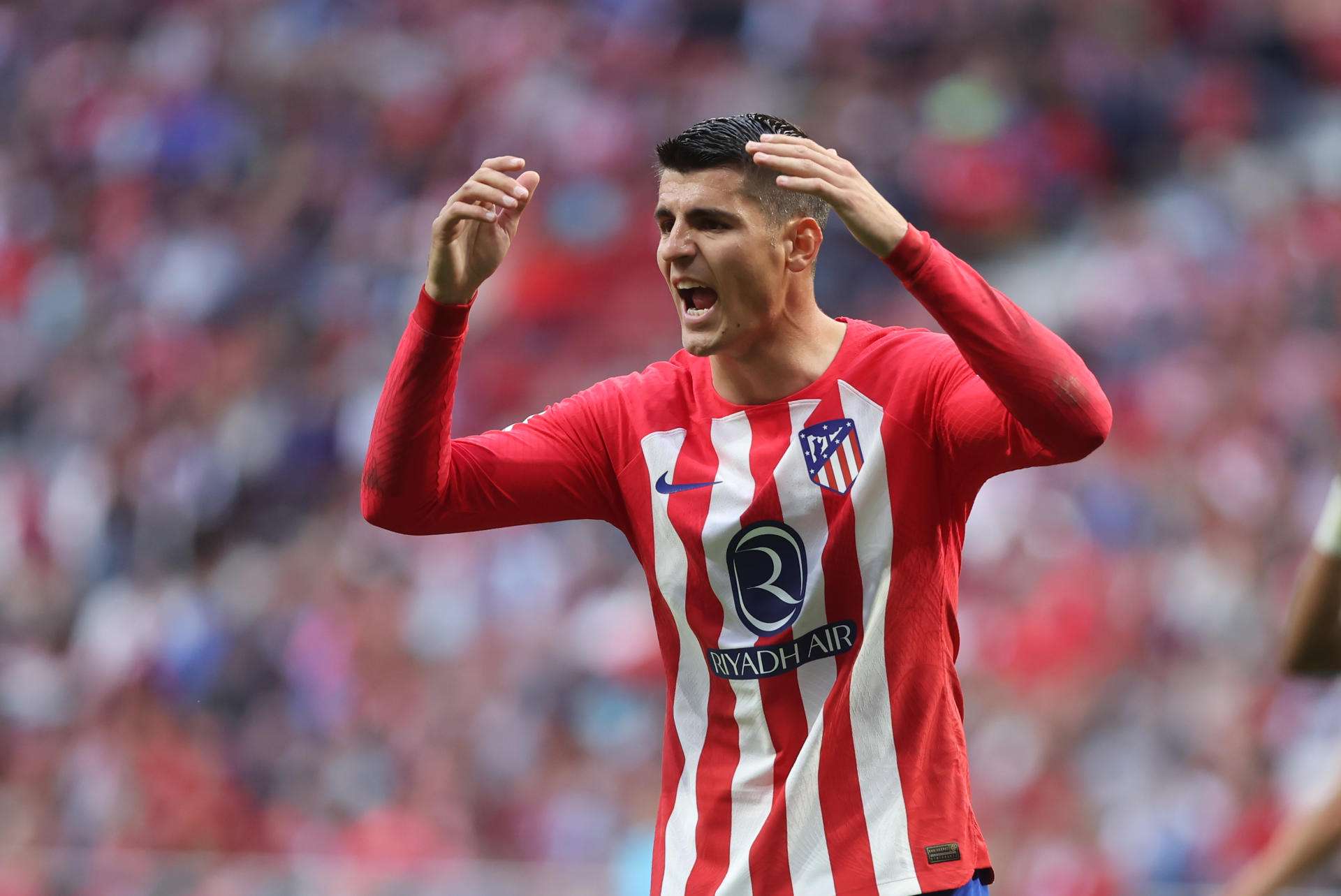 Morata se queda en el Atlético: "No voy a parar hasta ganar con esta camiseta"