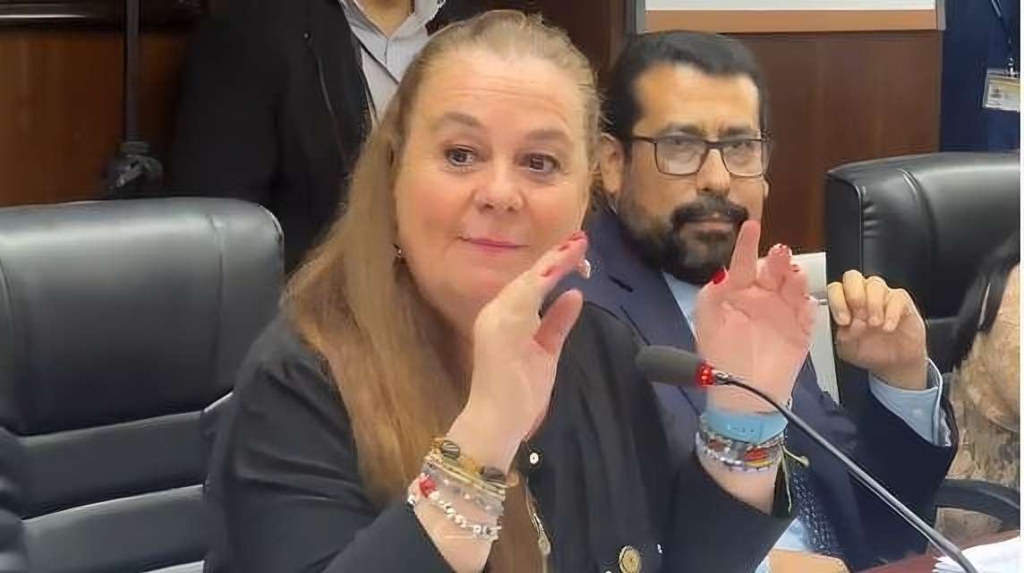 Diputado pregunta a ministra si han incluido ideología de género en algún texto escolar