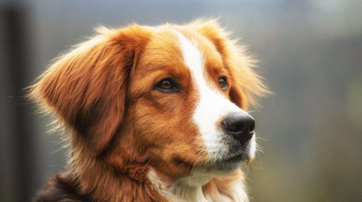 Viral | Grupo de niños hacen un homenaje previo a iniciar un juego