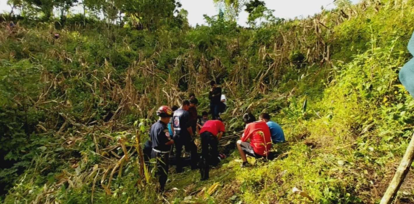 Bomberos salvan a perro atrapado durante cinco días en un pozo