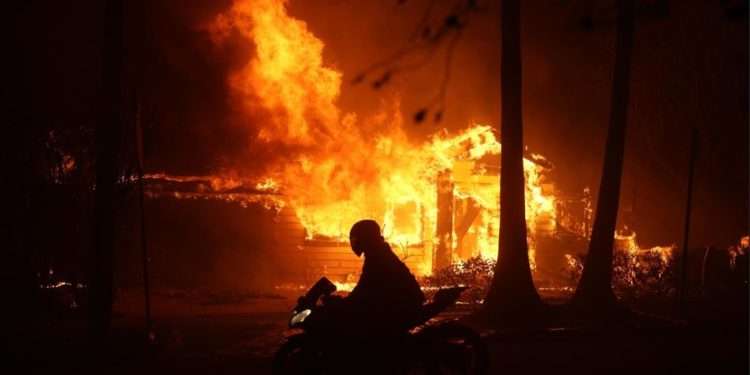 ¿Alerta en California? Consulado de Guatemala se moviliza ante incendios forestales