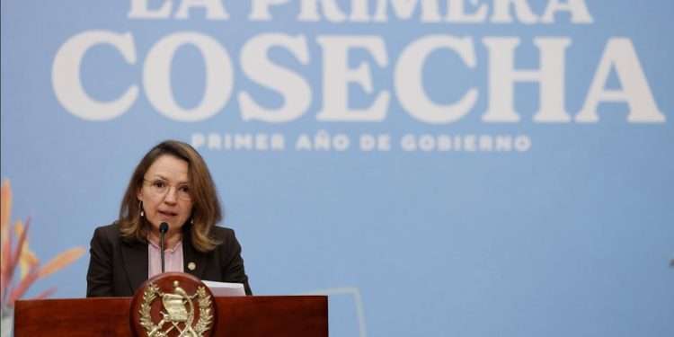 Ministra hace aclaración sobre multas de ley ambiental ¿Cómo separar correctamente los residuos?