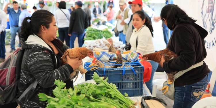 Comienza la Feria del Agricultor ¿Podrán los pequeños productores revolucionar el mercado de la canasta básica?