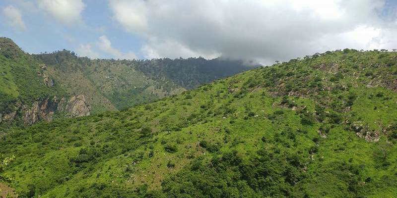 Junta Directiva de la Sierra de las Minas exige justicia por asesinato de guardarrecurso