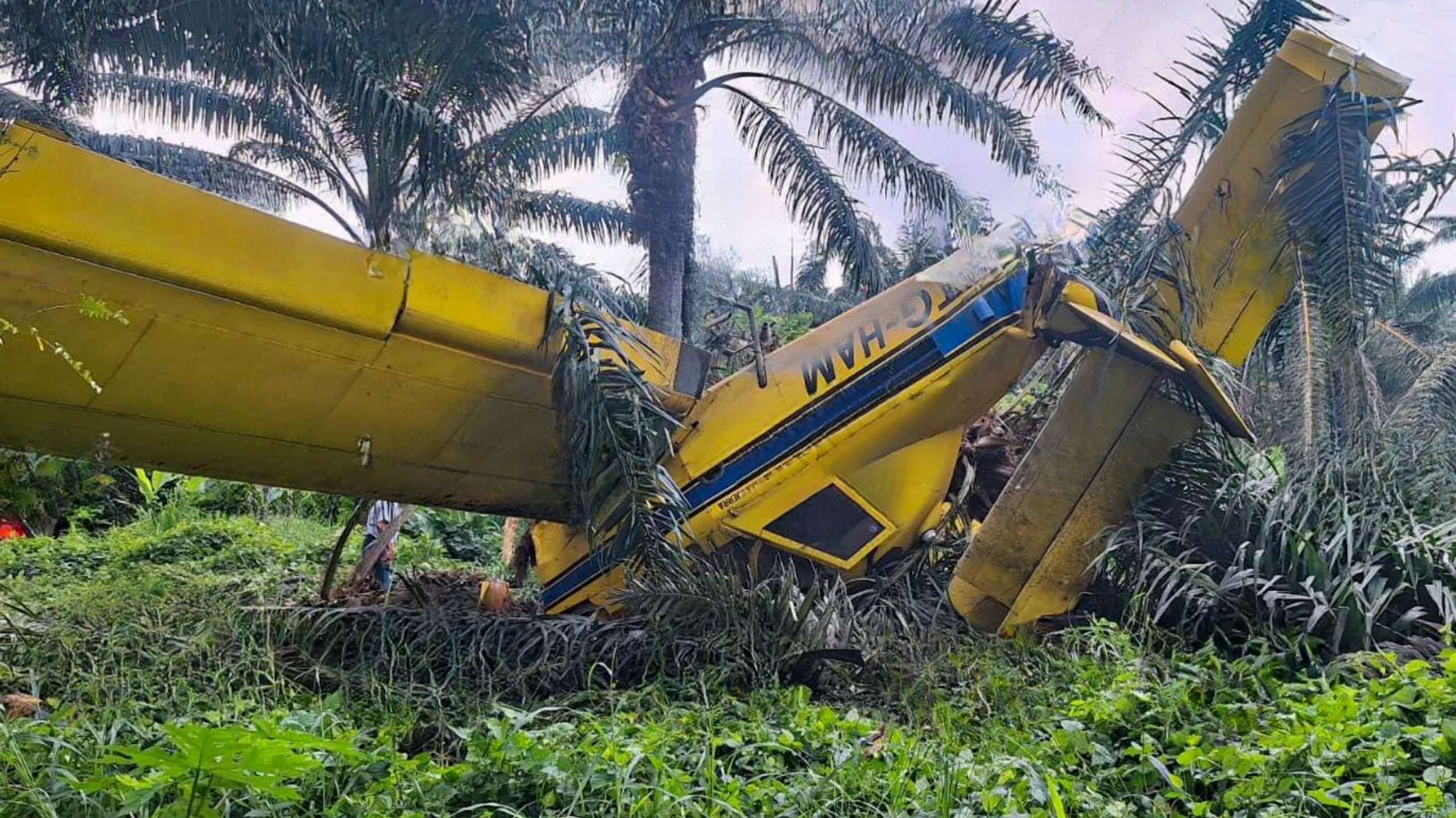 Última hora | Aeronave agrícola sufre accidente en Tiquisate