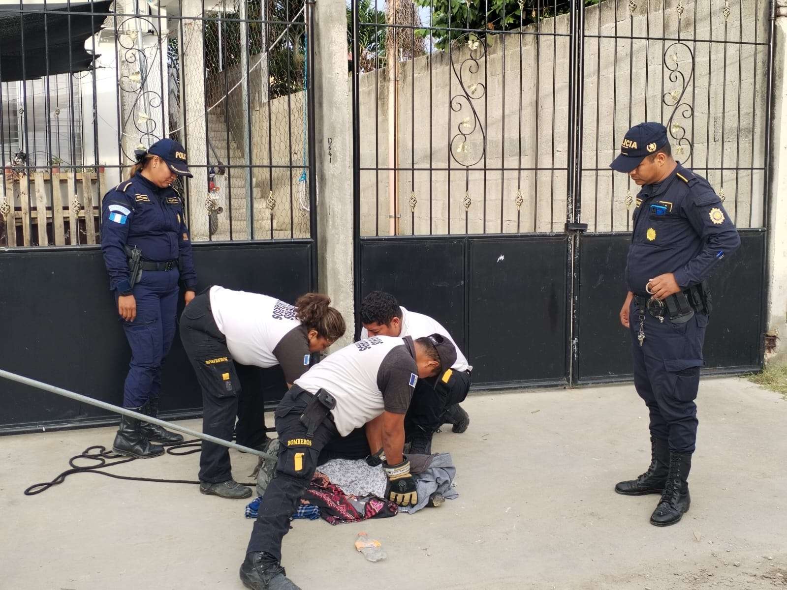 De la laguna… a la calle: Así sorprendió un cocodrilo a vecinos de Petén