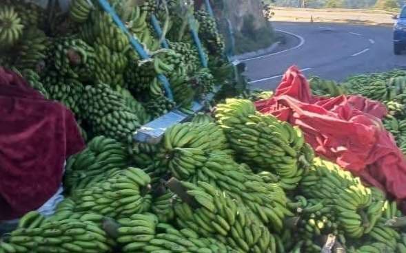 Conductor sale ileso tras vuelco de camión cargado con bananos