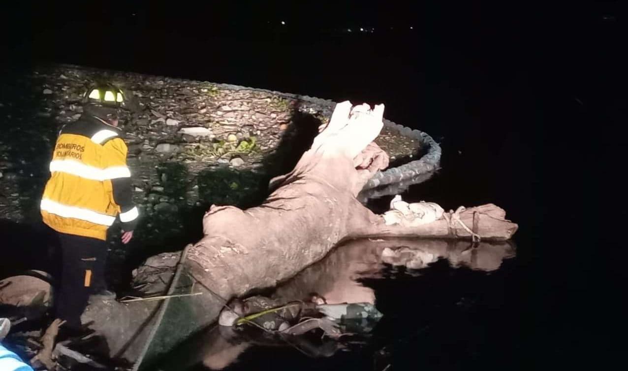 hallan cuerpos flotando.