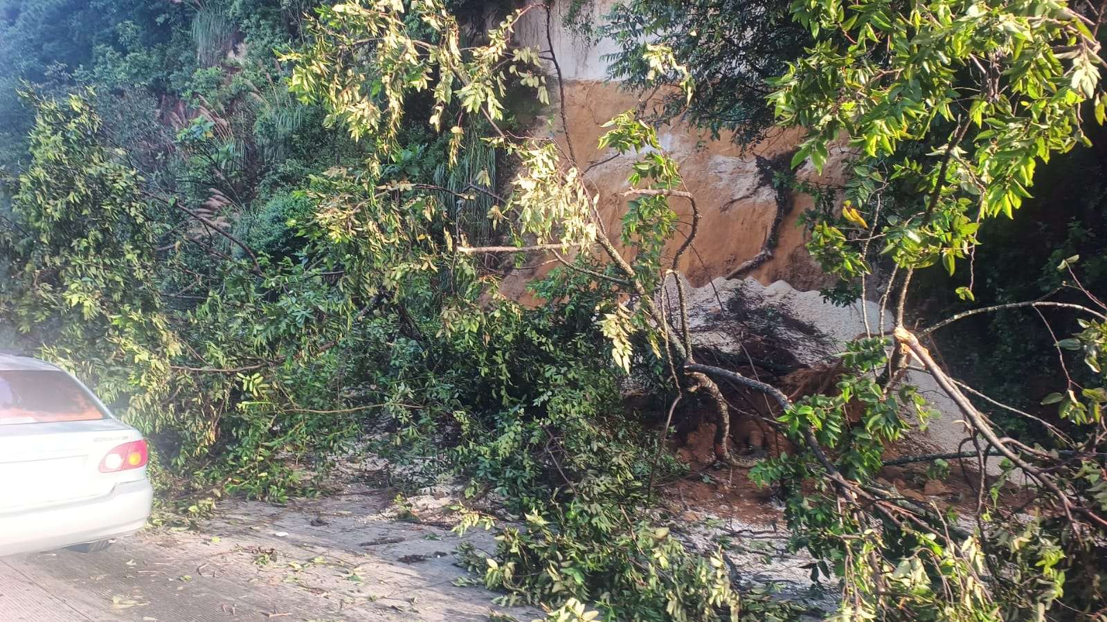 ¡Tránsito complicado! Derrumbe bloquea carriles en ruta Interamericana