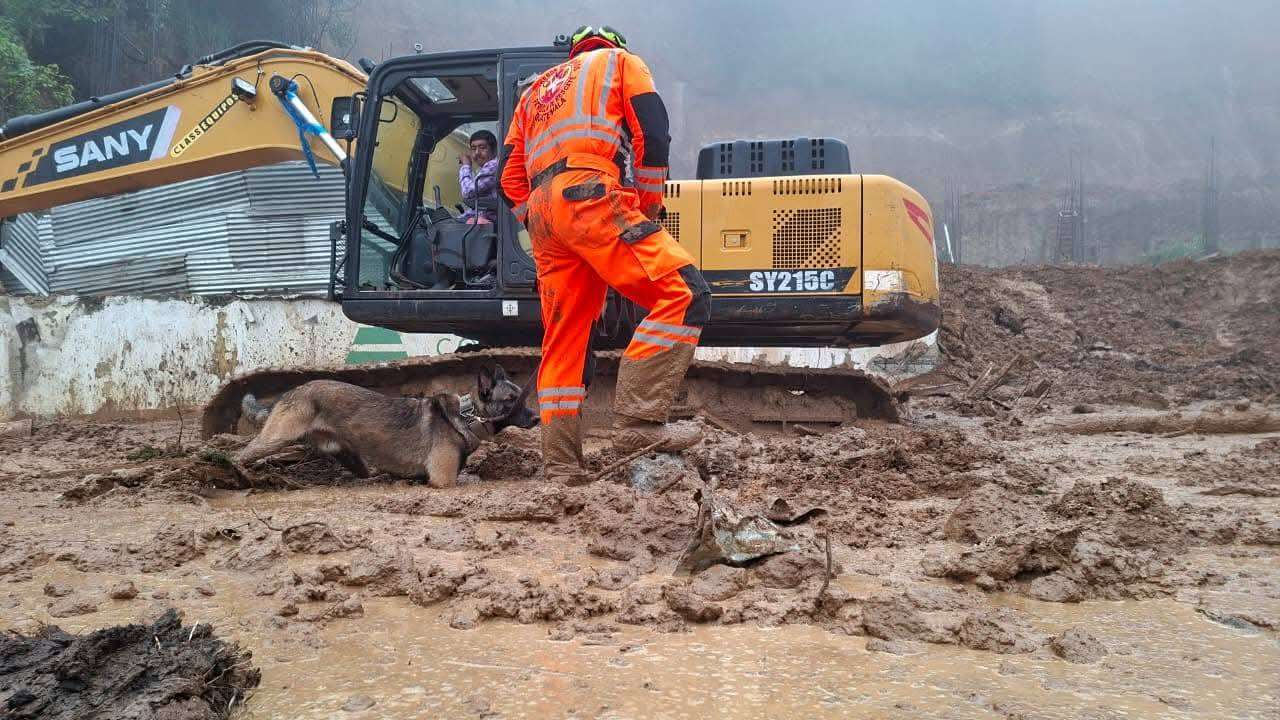 Perros de rescate detectan indicios del guardia en zona peligrosa, pero este continúa desaparecido