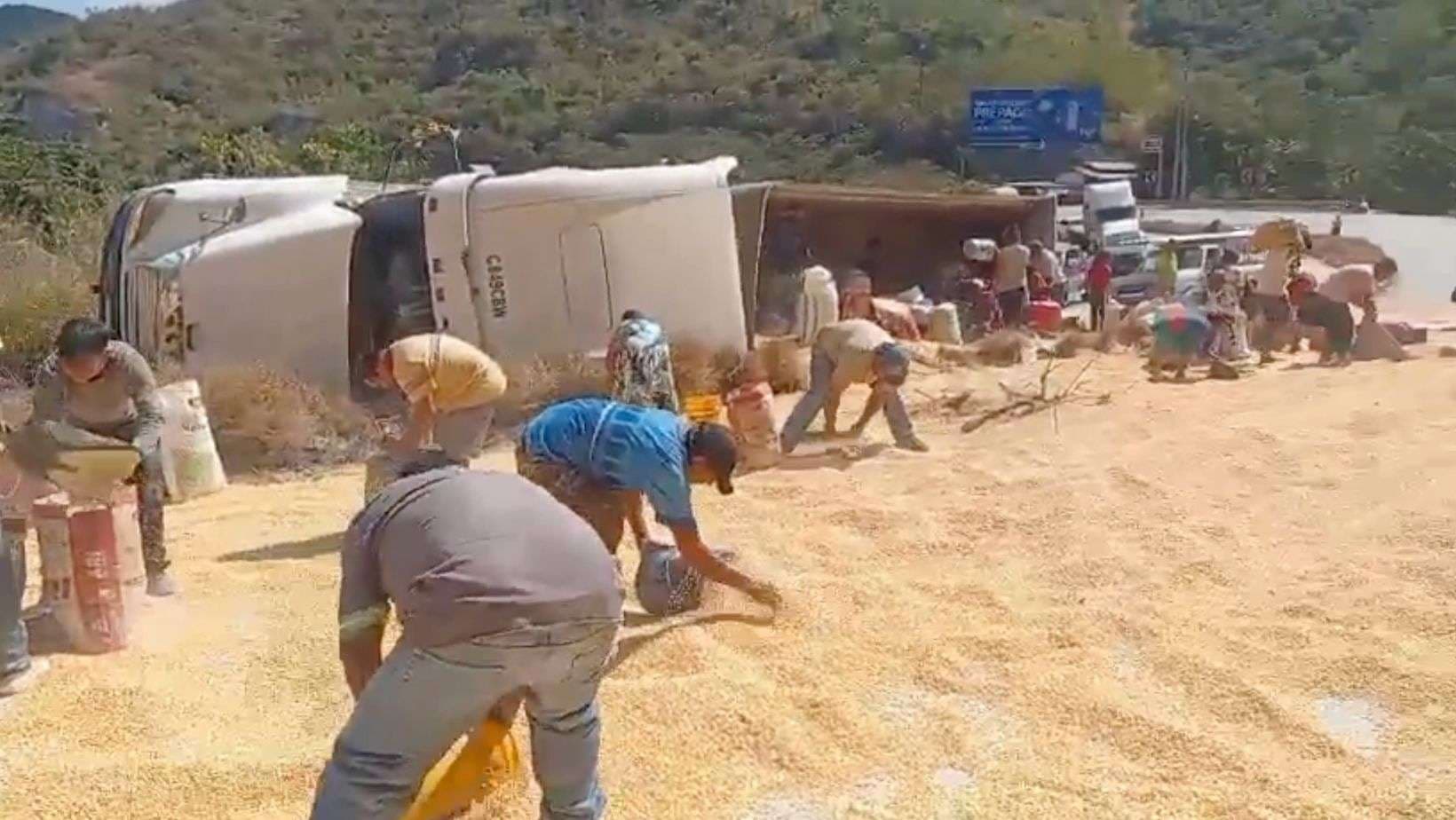 ¡Precaución! Granos sobre el asfalto y tráfico lento tras vuelco de tráiler