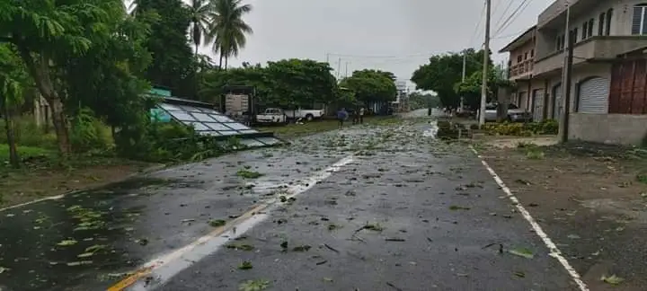 ¿Qué hacer ante vientos fuertes? Autoridades emiten recomendaciones
