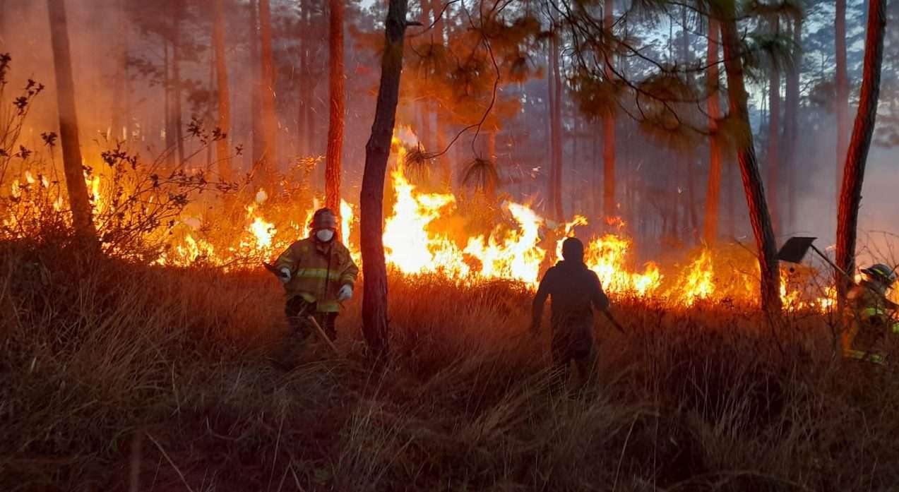 Conred reporta 10 incendios controlados en los primeros días de 2026