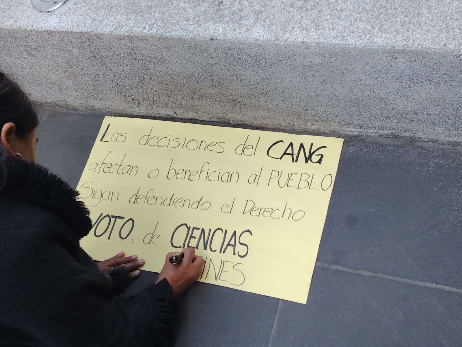 Ciencias afines llevan su reclamo a la CC: ¿exclusión o defensa del proceso del CANG?